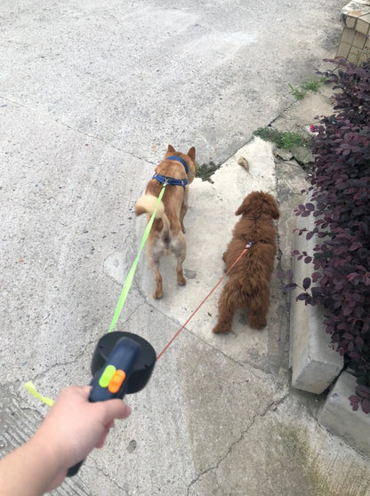 Retractable Dual Dog Leash with LED Lights – 3M Reflective No-Tangle Leash for Small Dogs & Cats