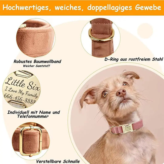 Personalised Velvet Dog Collar – Custom Engraved Name & ID Tag | Adjustable XS–XL