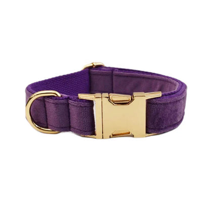 Personalised Velvet Dog Collar – Custom Engraved Name & ID Tag | Adjustable XS–XL
