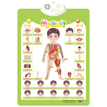 Interactive Talking Poster – Numbers & Alphabet Learning Chart for Toddlers & Kids