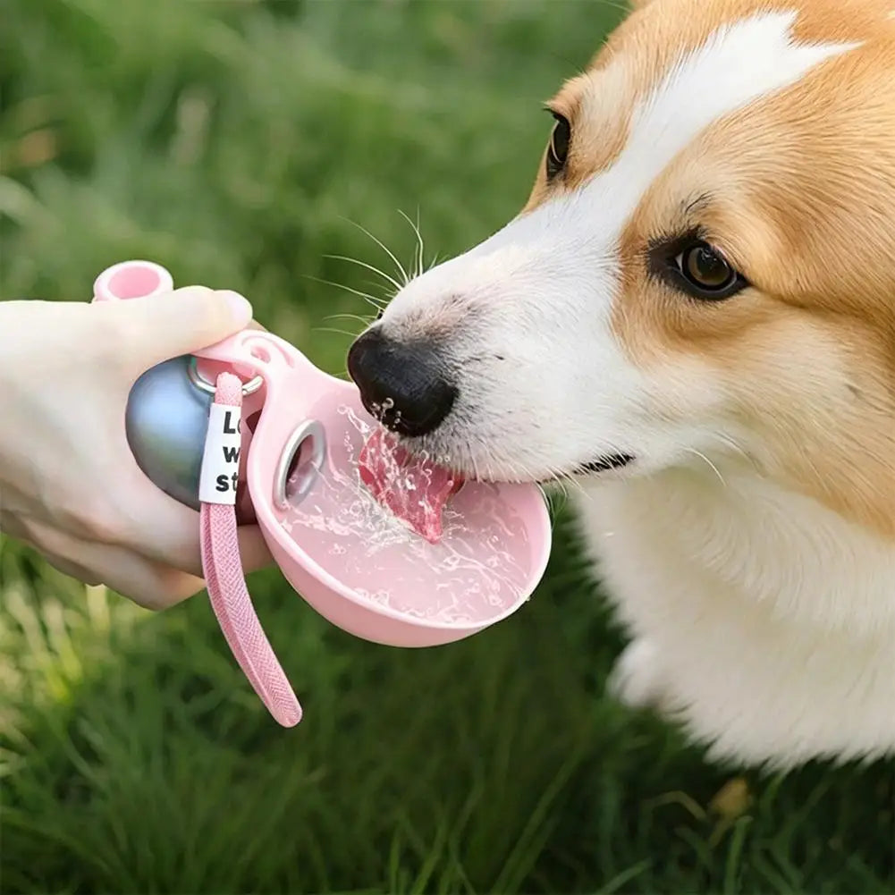 Foldable Pet Water Bottle – Portable Dog & Cat Drinking Bottle for Outdoor Adventures
