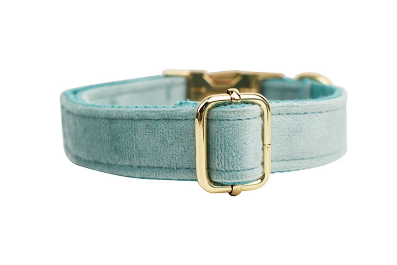 Personalised Velvet Dog Collar – Custom Engraved Name & ID Tag | Adjustable XS–XL