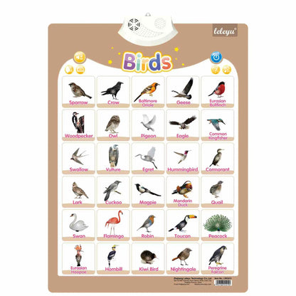 Interactive Talking Poster – Numbers & Alphabet Learning Chart for Toddlers & Kids