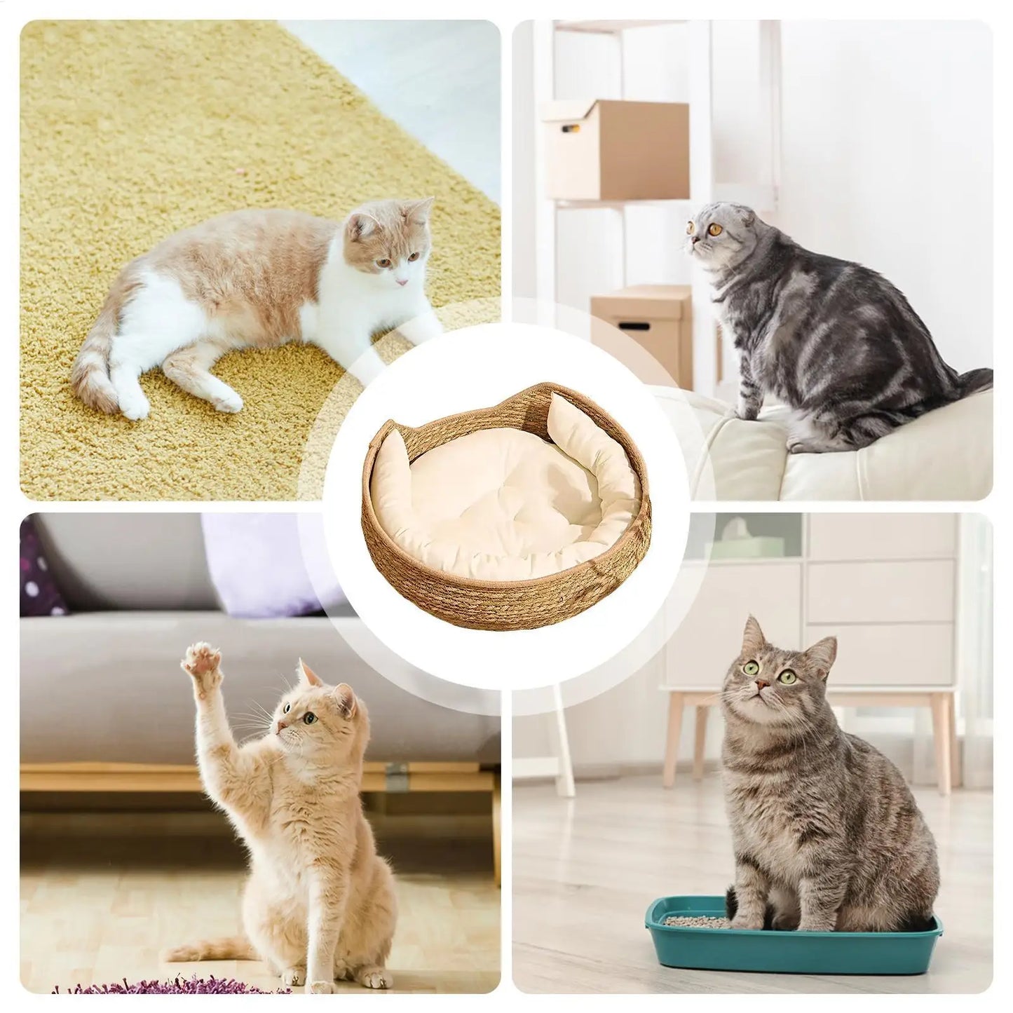Cat Basket Bed Cotton Rope Round Bed for Cat Sleep with Pillow All Season Indoor Weaving Pet Resting Scratching Sleeping