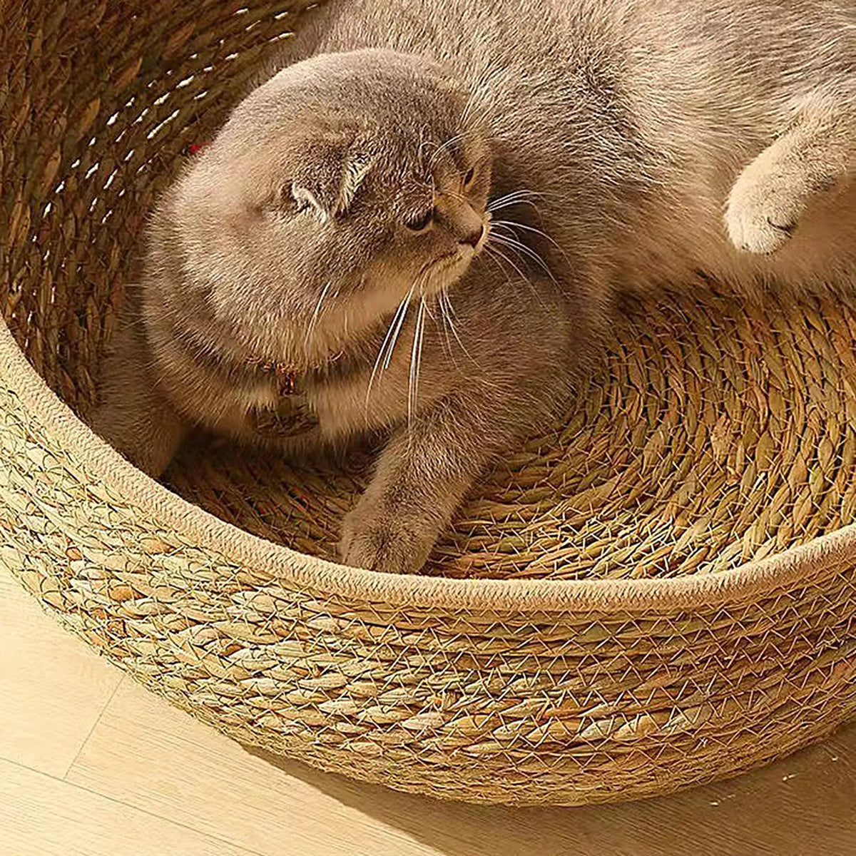 Cat Basket Bed Cotton Rope Round Bed for Cat Sleep with Pillow All Season Indoor Weaving Pet Resting Scratching Sleeping