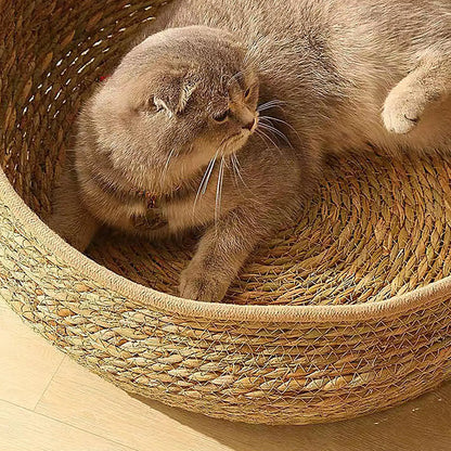 Cat Basket Bed Cotton Rope Round Bed for Cat Sleep with Pillow All Season Indoor Weaving Pet Resting Scratching Sleeping