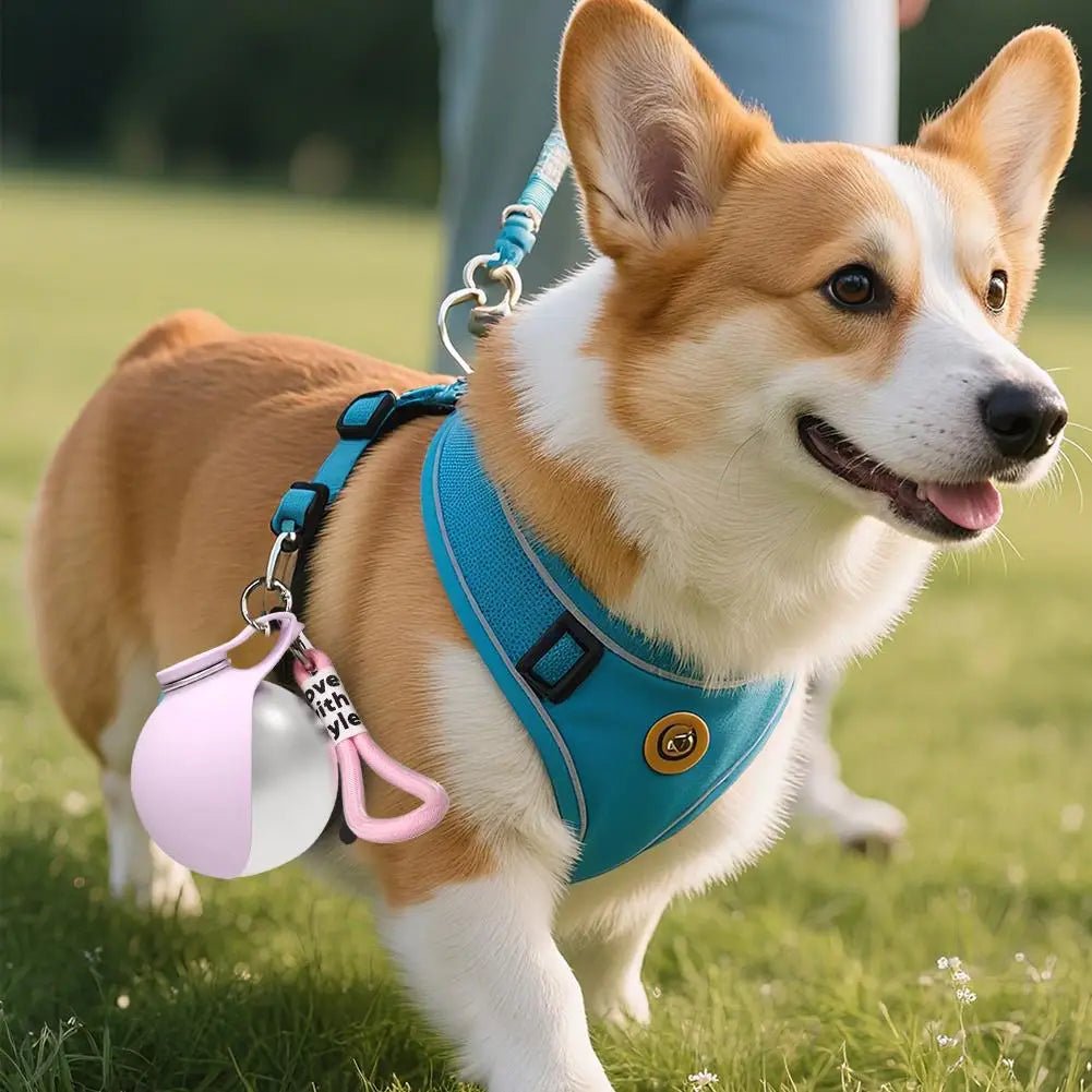 Foldable Pet Water Bottle – Portable Dog & Cat Drinking Bottle for Outdoor Adventures